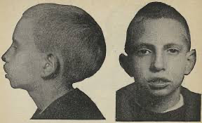 1778757329229