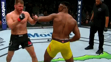 giphy.gif