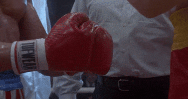 rocky sylvester stallone GIF