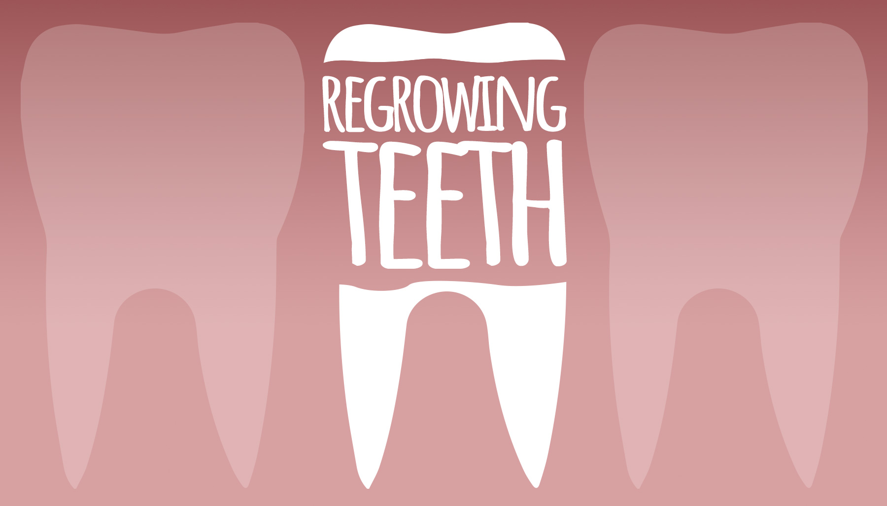 www.fiorillodental.com