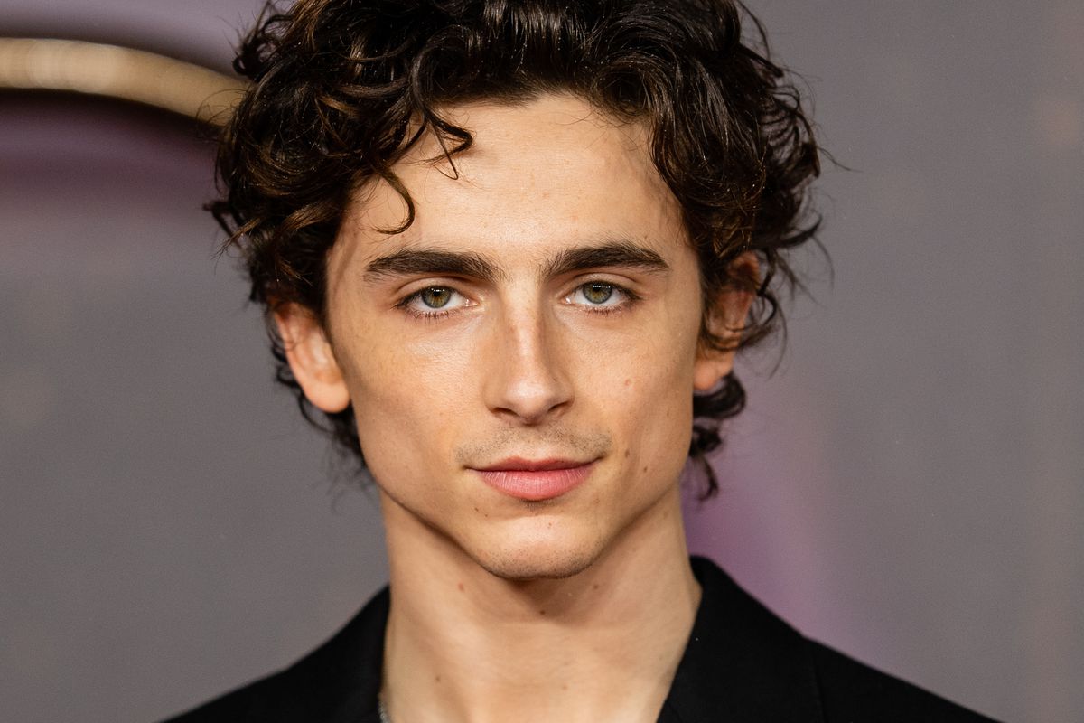 timothee-chalamet.jpg