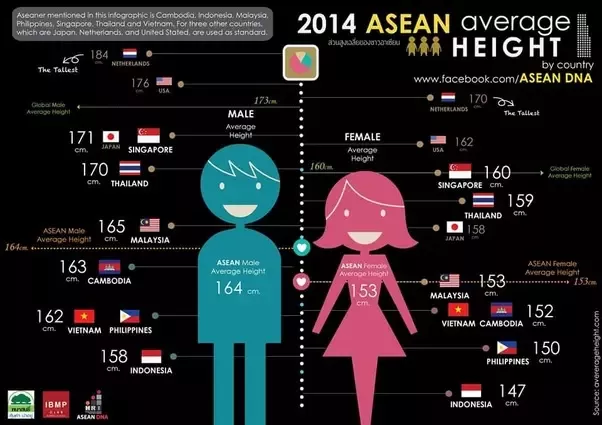 Image result for indonesia height average
