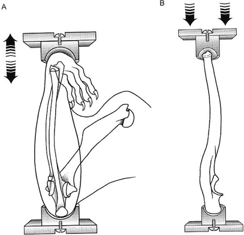 mfig001.jpg