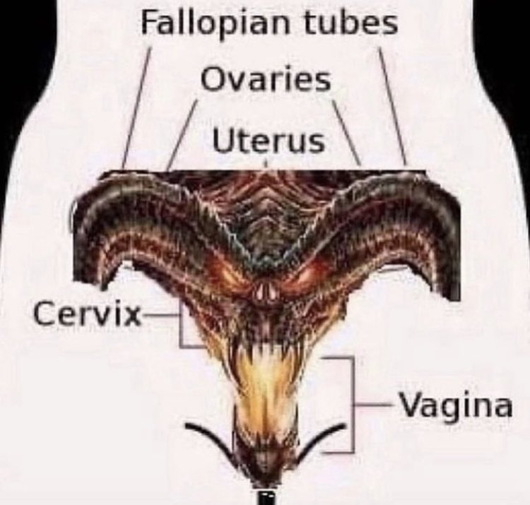 hear me out, it's called devil vagina magic for a reason.
