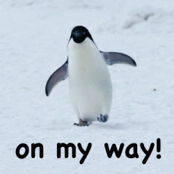 source.gif
