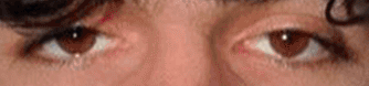 zPLETBL.png