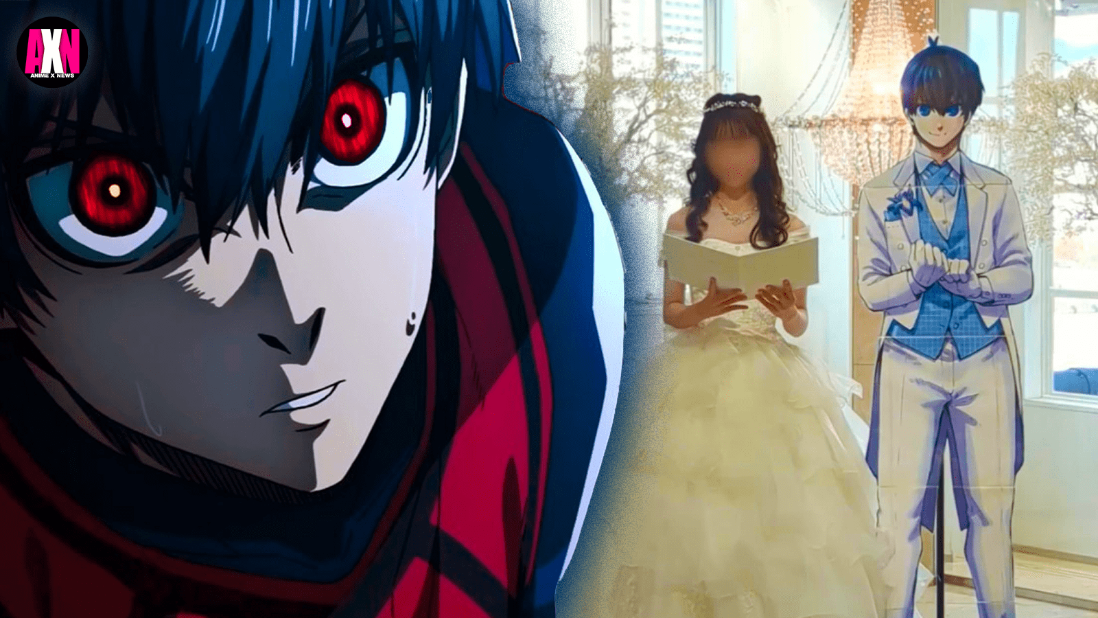 animexnews.com
