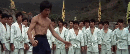 giphy.gif