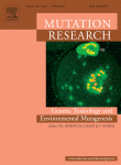 www.sciencedirect.com