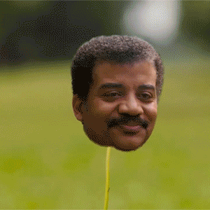 Neil DeGrasse Tyson Dandelion in Space: gifs