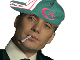 1526144926-shelby-dz.png