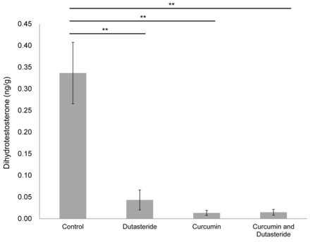 F4.medium.gif