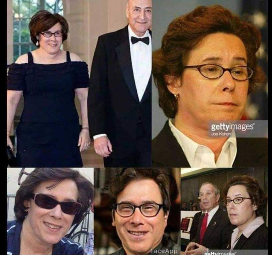 8954791.jpeg