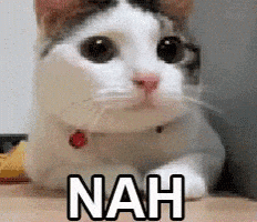 Cat No GIF by MOODMAN