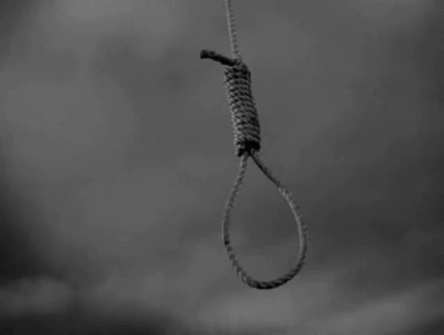 a black and white photo of a noose hanging from a rope in the sky .