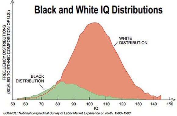 iq5.jpg