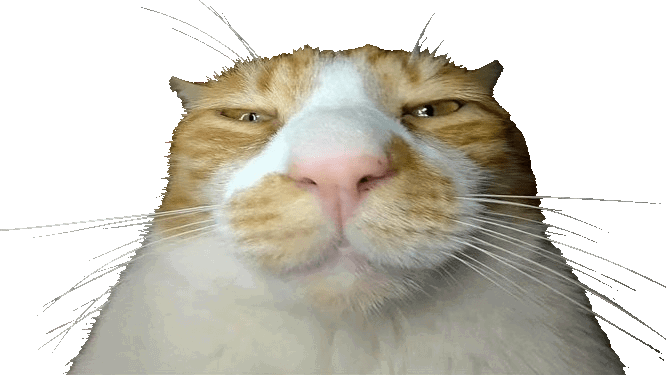 1778469872353-d94b4c6f-a5ea-4cac-99d3-8eddd0f603e8.gif