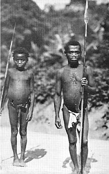 African Pygmies - Wikipedia