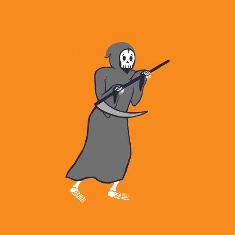 giphy.gif