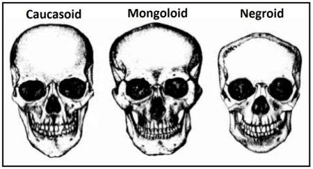 How many human races are in the world? - Quora | Kids around the world,  Human race, Skull