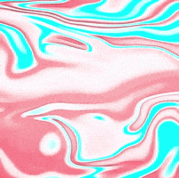 Typography Abc GIF by The3Flamingos