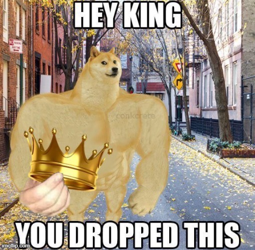 Hey king, you dropped this template | Ironic Doge Memes | Know Your Meme