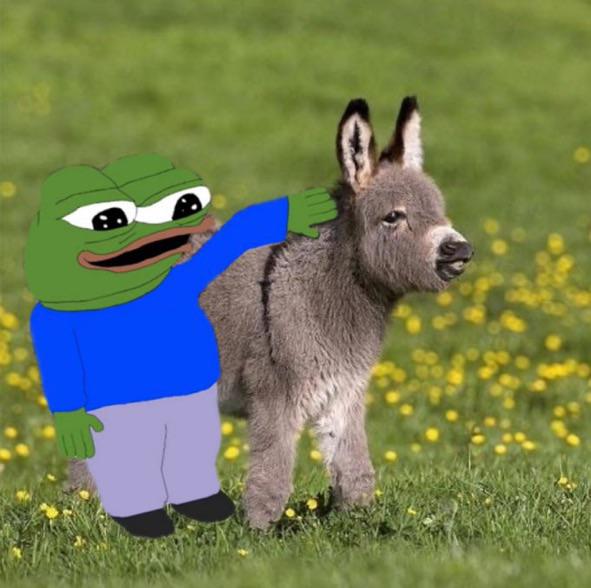 iyt4zynmyioa1.jpg