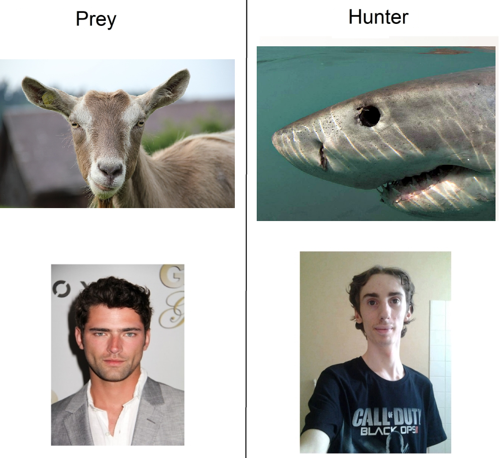 5lw40uu2iiy01.png