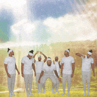 Excited Fly GIF