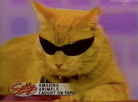 Talk Show 90S GIF