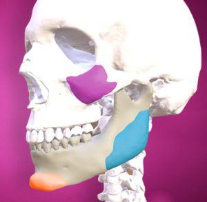 www.drkeojampa.com