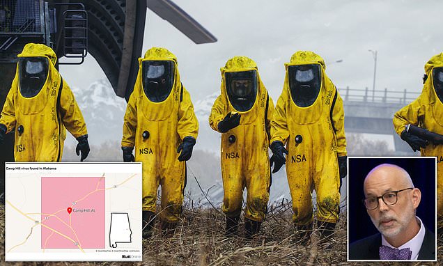 www.dailymail.co.uk