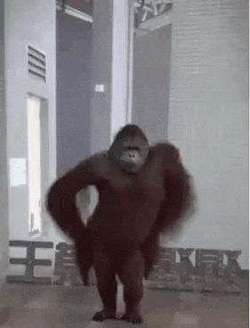 a gorilla is standing in front of a sign that says  king kong 