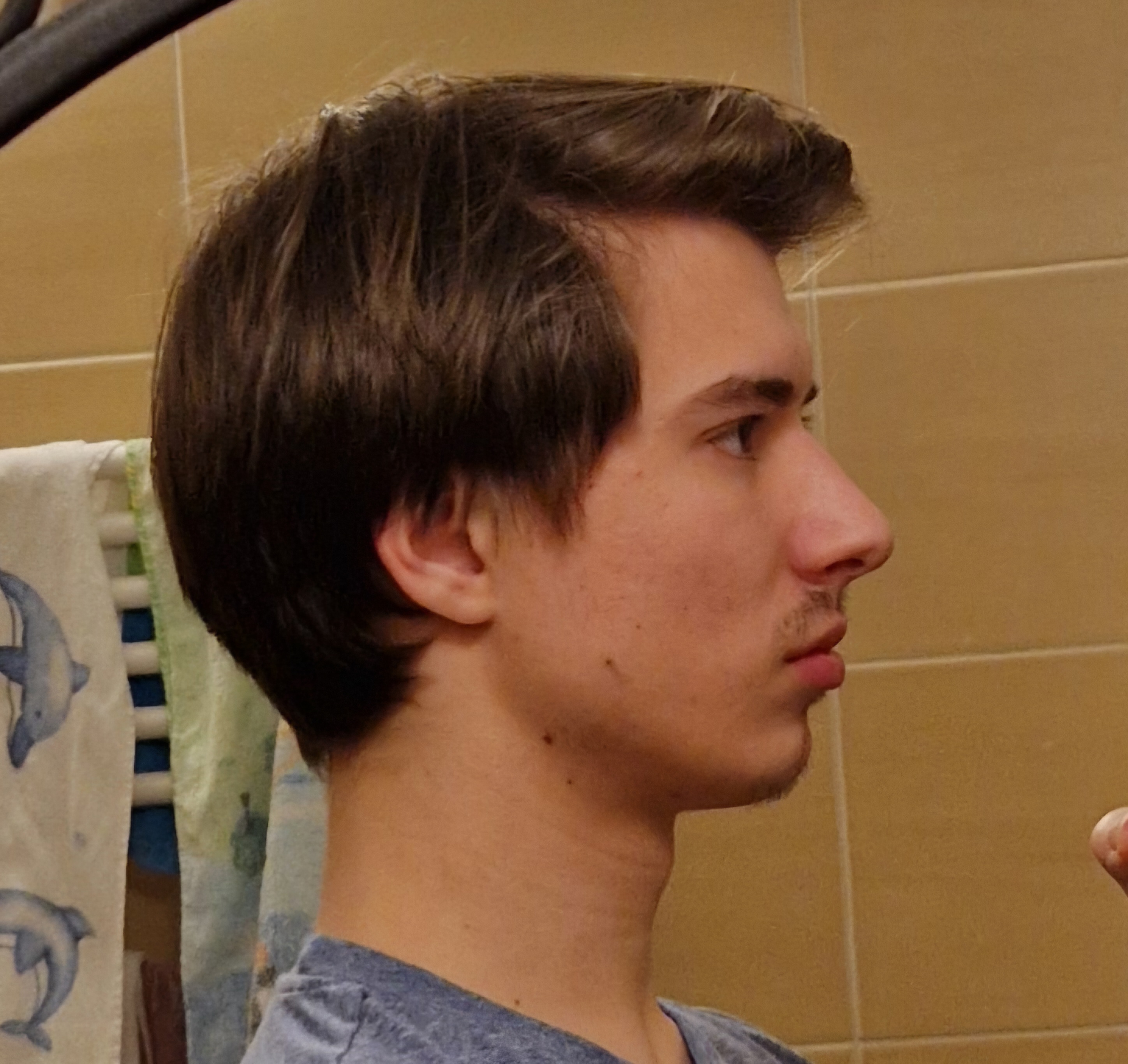 4778630_1741847691128.jpeg