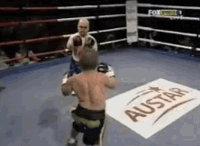 Midgets Boxing GIF - Midgets Boxing Midget GIFs