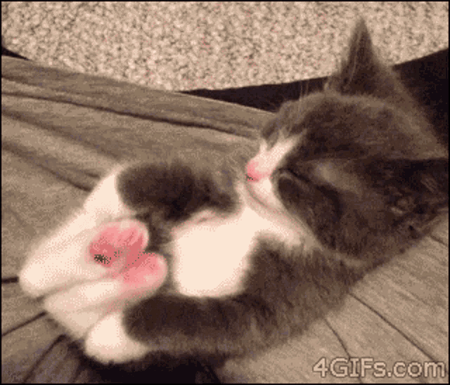 razyness-razy.gif