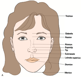 www.therhinoplastycenter.com