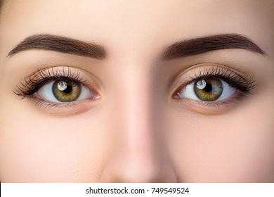 close-view-beautiful-brown-female-260nw-749549524.jpg