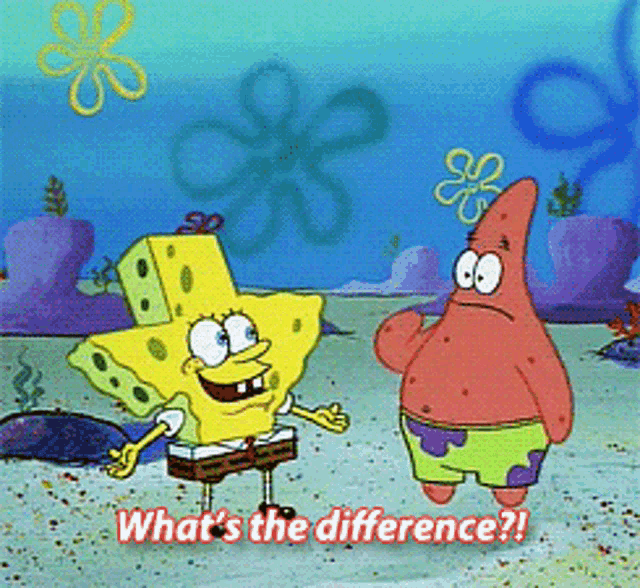 spongebob and patrick from spongebob squarepants are standing next to each other and asking what 's the difference