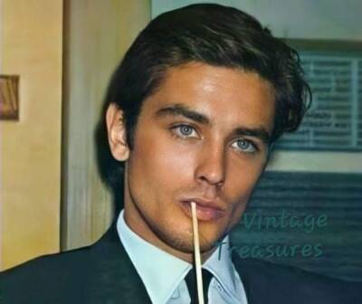 Irresistible French Actor Alain Delon Photo Print Poster | eBay