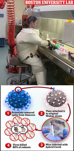 Outrage as Boston University CREATES Covid strain that has an 80% kill rate