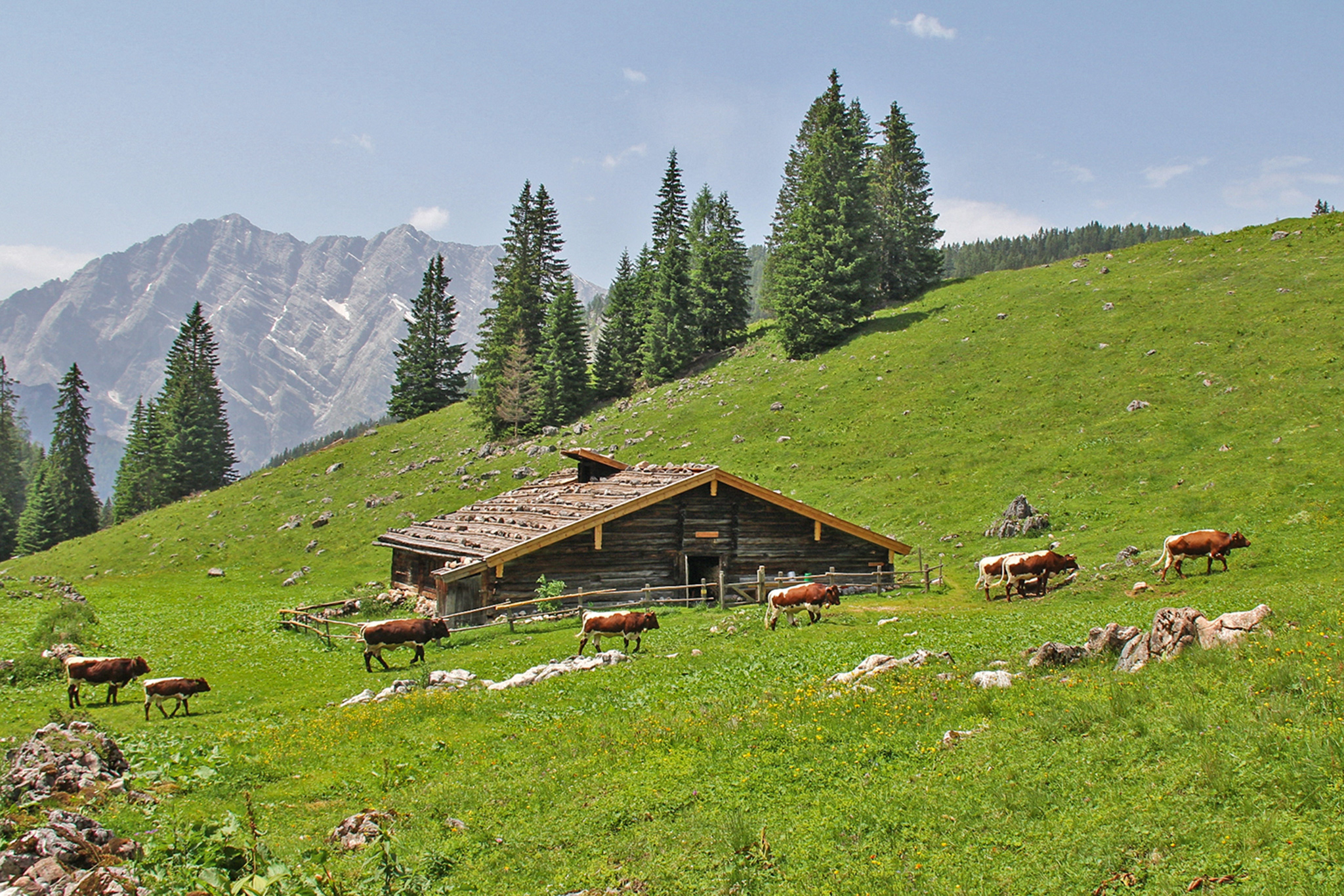 Regenalm-Nationalpark-Berchtesgaden.jpg