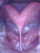Picture1.jpg