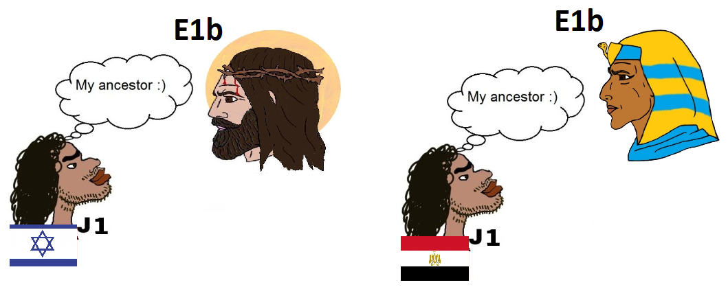 2e7.png
