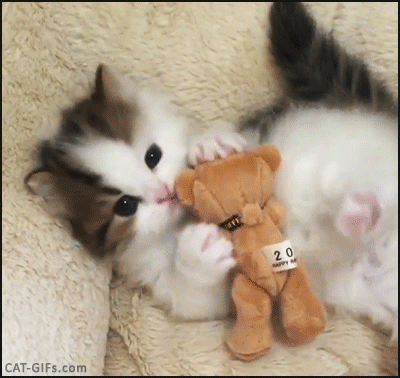 dd5df03c42560225277000725beca566.gif