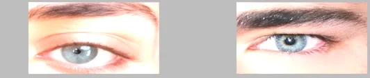 Screenshot 2026-07-10 230511.webp