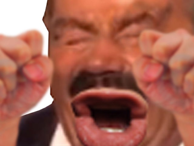 1500244583-1493289235-risibouchetroisenerve.png