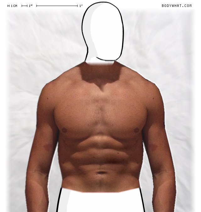 bodywhat.com
