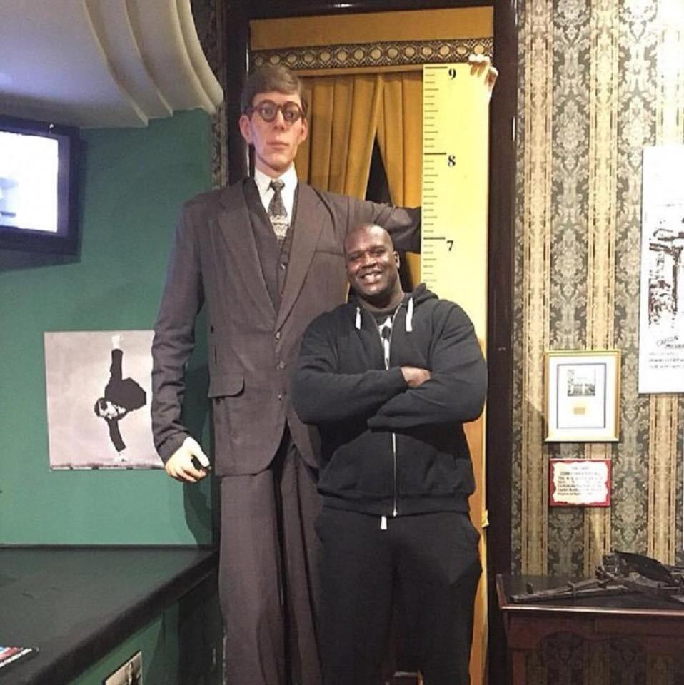 Shaq standing next to a wax figure of Robert Wadlow, the tallest man in  recorded history. : pics