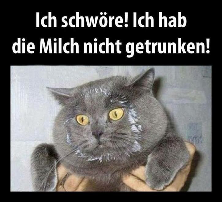 1bf483d563e92413c5833a9829978c28--german-language-memes.jpg